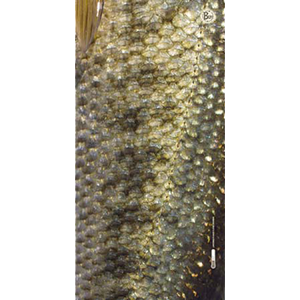 Buff_AnglerUVBuff_LargemouthBass