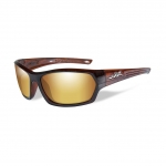 Wiley X WX LEGEND Sunglasses, POLARIZED Venice Gold Mirror (Amber) Lens / Gloss Hickory Brown Frame